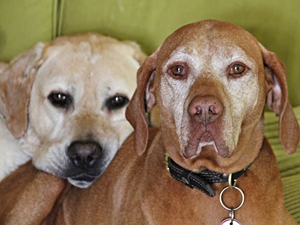 Leo und Caspar